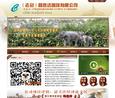 展示型網(wǎng)站案例:云南昌勝達(dá)投資有限公司