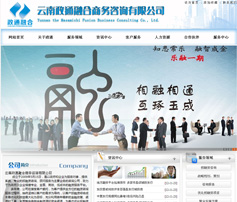 展示型網(wǎng)站案例:云南政通融合商務(wù)咨詢有限公司