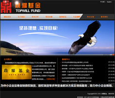 展示型網(wǎng)站案例:昆明鼎耀基金管理有限公司