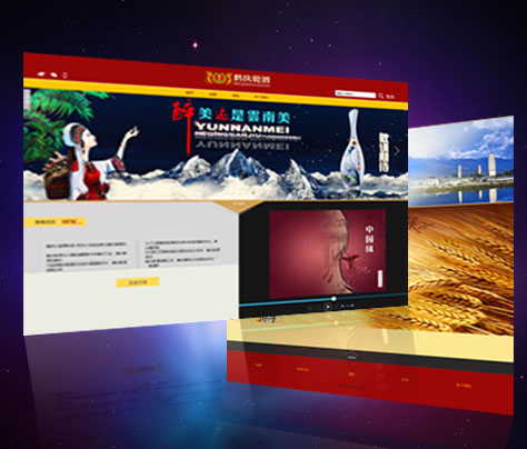 功能型網(wǎng)站案例:鶴慶乾酒有限公司