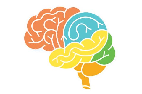 網(wǎng)站建設(shè)知識(shí):簡約風(fēng)格的網(wǎng)站為什么大受歡迎？